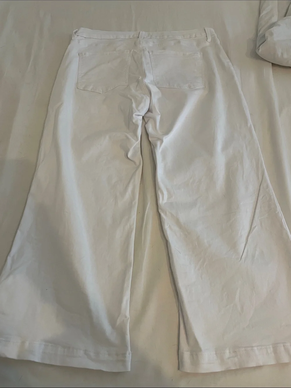 Kut from the Kloth Meg Pants with Front Patch Pockets 16W Optic White